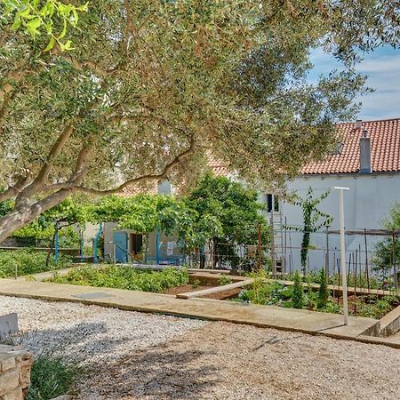 Apartment Dami Mali Lošinj Exteriör bild
