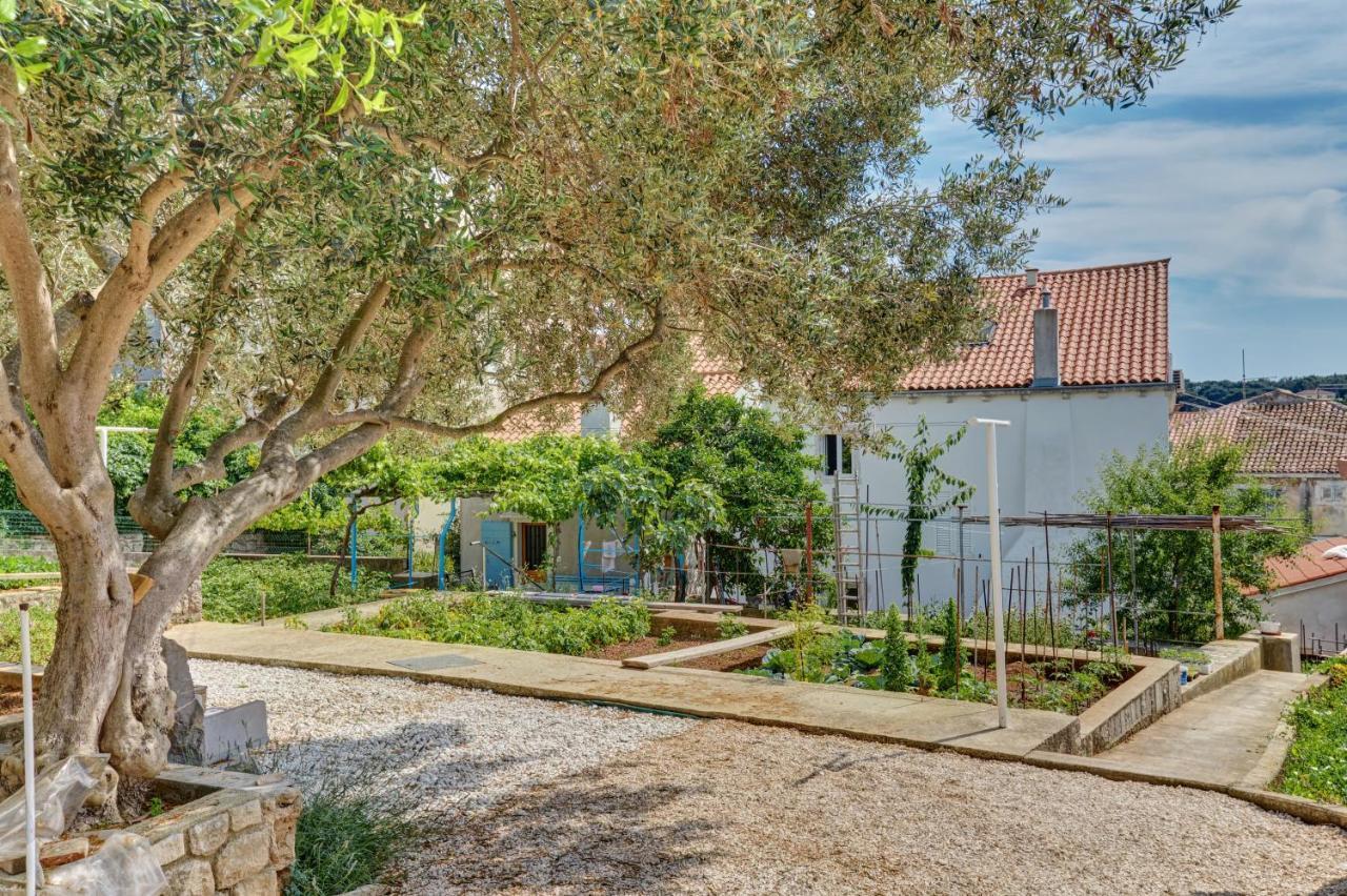 Apartment Dami Mali Lošinj Exteriör bild